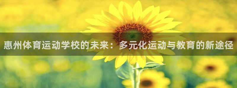 米兰体育官网下载平台是正规平台吗知乎：惠州体育运动学