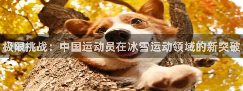 米兰体育官网下载招商电话号码查询：极限挑战：中国运动