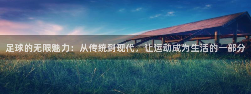 米兰体育官方正版app神州：足球的无限魅力：从传统到现代，让