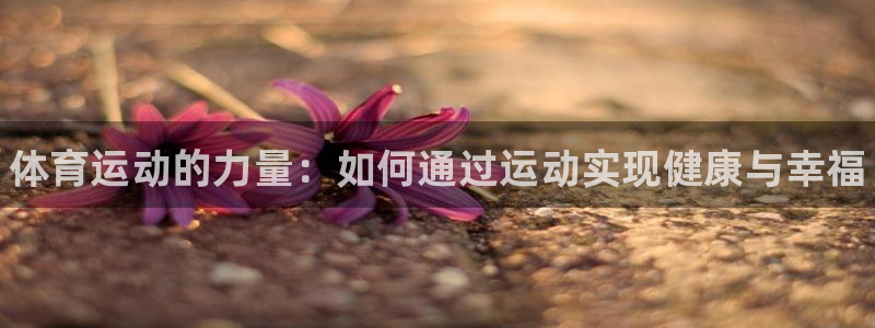 米兰体育官方正版app娱乐首页网站大全：体育运动的力