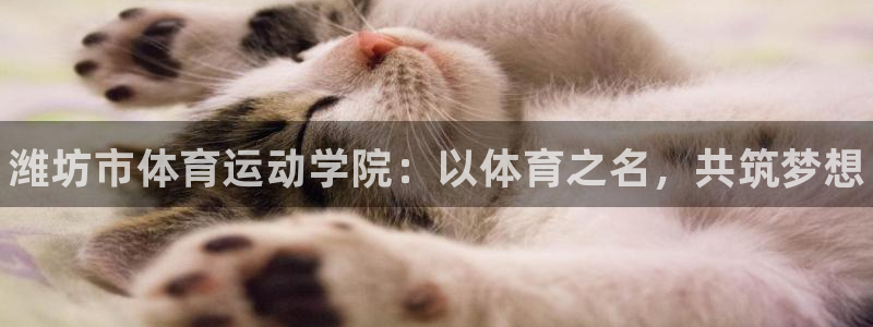 米兰体育官网下载招商电话地址：潍坊市体育运动学院：以