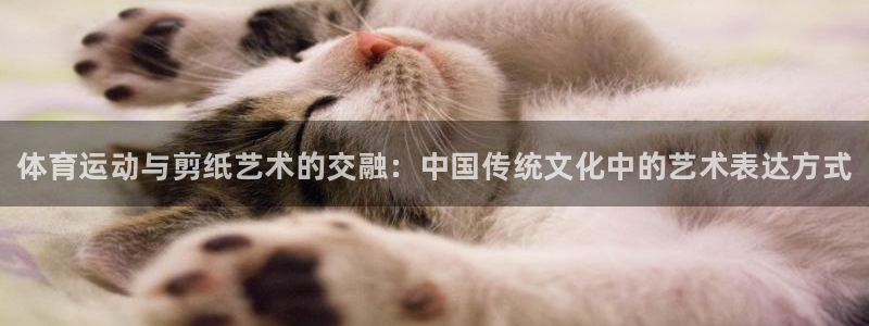 注册米兰体育官方正版app：体育运动与剪纸艺术的交融