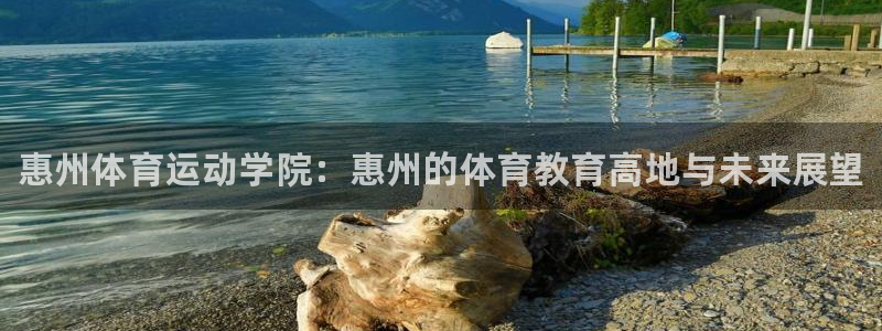米兰体育官方集团官网：惠州体育运动学院：惠州的体育教育高地与
