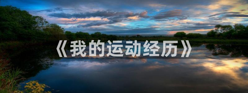 米兰体育官方正版app娱乐平台：《我的运动经历》