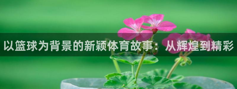 米兰体育官网下载招商电话号码：以篮球为背景的新颖体育