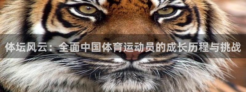 米兰体育官网下载平台注册流程视频：体坛风云：全面中国