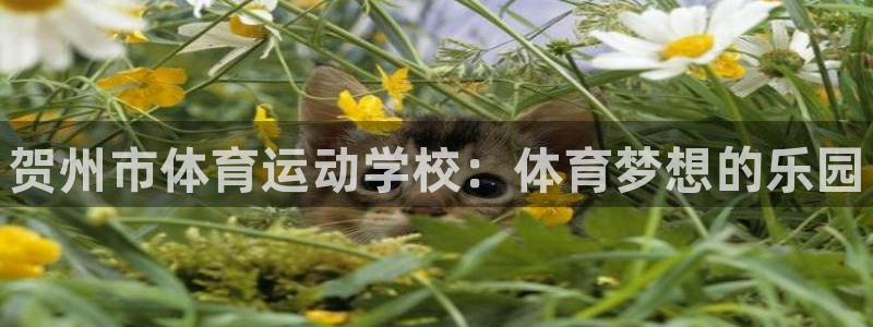米兰体育官方正版app神州：贺州市体育运动学校：体育梦想的乐
