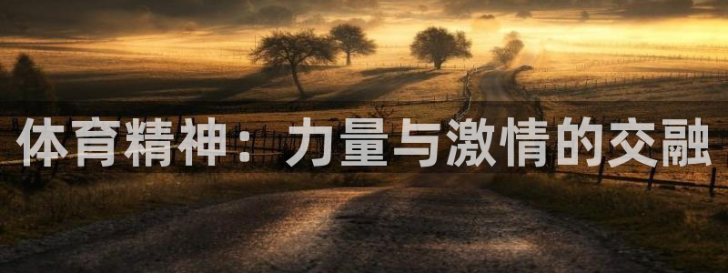 米兰体育官网下载招商电话号码是多少啊：体育精神：力量与激情的
