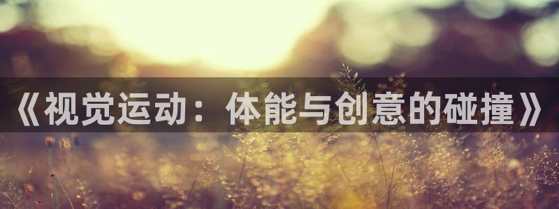 米兰体育官方正版app新能源：《视觉运动：体能与创意的碰撞》