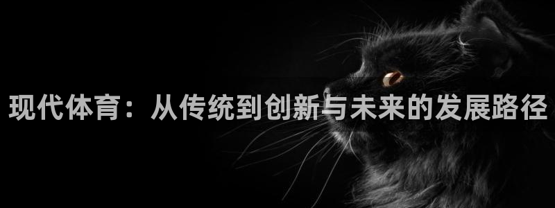 米兰体育官方正版app官网：现代体育：从传统到创新与未来的发