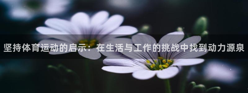 米兰体育官方正版app集团logo：坚持体育运动的启示：在生