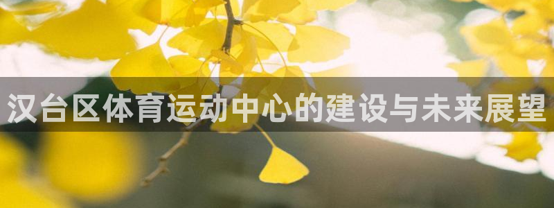 米兰体育官网下载平台注册要钱吗是真的吗：汉台区体育运