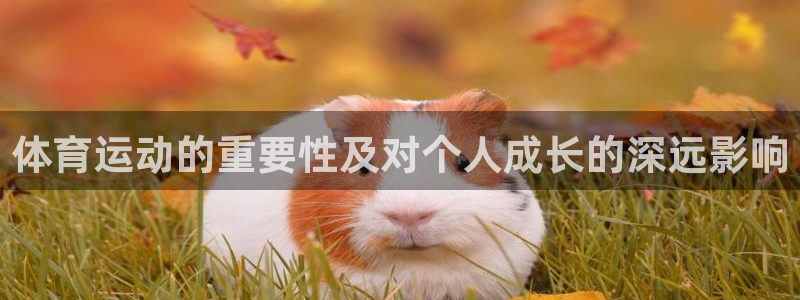 米兰体育官方正版app集团官网首页网址：体育运动的重